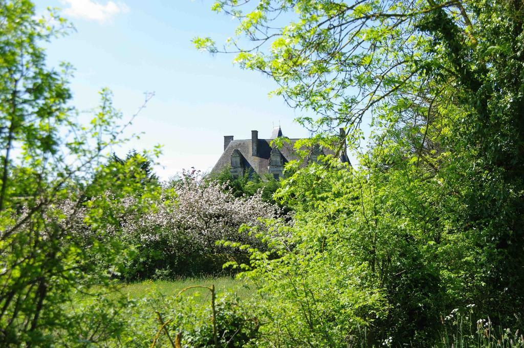 Chateau De Vermette Hotell La Chapelle-Gaudin Exteriör bild